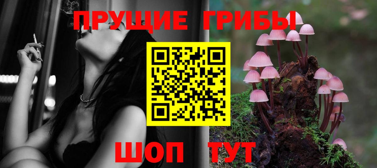 Псилоцибиновые грибы Magic Shrooms Кувандык